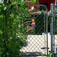 Marihuana The Plant From Hell!