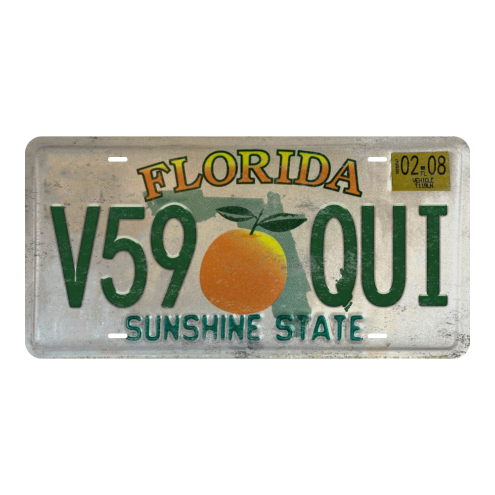 Florida V59 OUI - Tin License Plate Sign(6*12Inch)