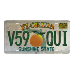 Florida V59 OUI - Tin License Plate Sign(6*12Inch)