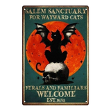 Salem Sanctuary for Wayward Cats | Ferals and Familiars | Welcome | Est.1692