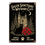 Salem Sanctuary for Wayward Cats FERALS FAMILIARS AND WELCOME