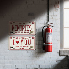 2pcs - 2026 Vintage License Plate Bundle