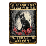 Salem Sanctuary For Wayward Cats