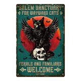 Salem Sanctuary for Wayward Cats – Gothic Black Cat