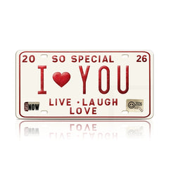 2pcs - 2026 Vintage License Plate Bundle