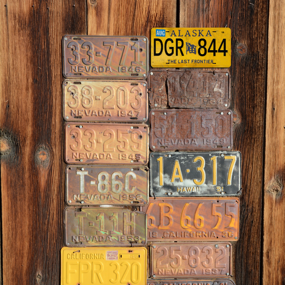 Alaska DGR 844 - Tin License Plate Sign(6*12Inch)