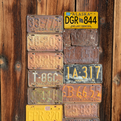 Alaska DGR 844 - Tin License Plate Sign(6*12Inch)