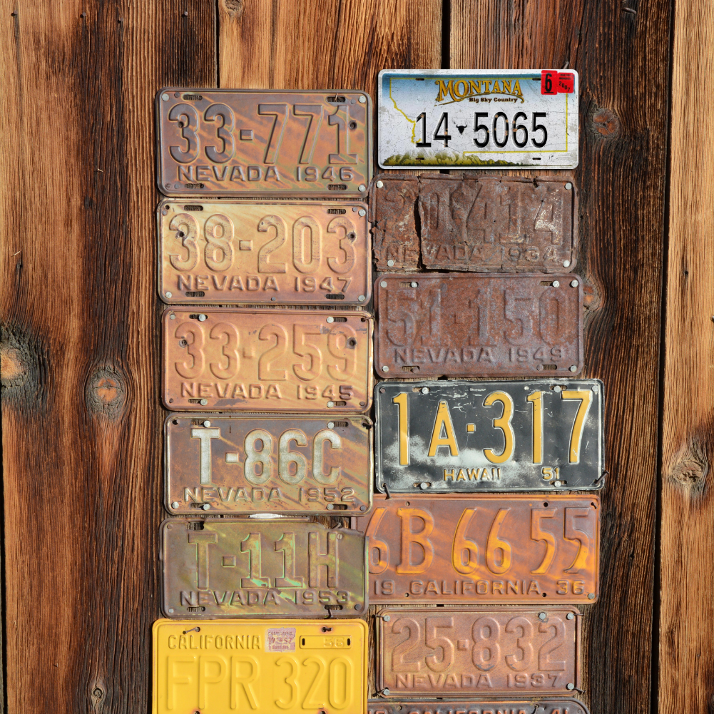 Montana 14-5065 - Tin License Plate Sign(6*12Inch)
