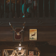 Vintage Western Winchester Deer