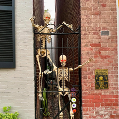 When It’s 60° and Still Not Halloween