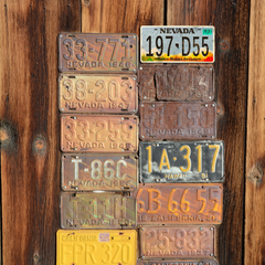 Nevada 197-D55 - Tin License Plate Sign(6*12Inch)