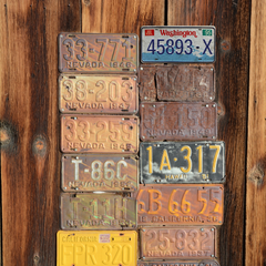 Washington 45893-X - Tin License Plate Sign(6*12Inch)