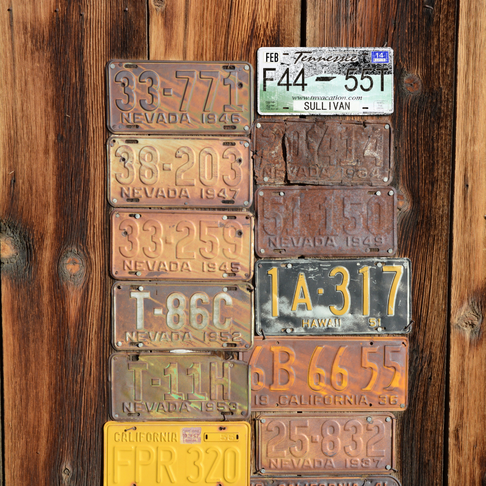 Tennessee F44-55T - Tin License Plate Sign(6*12Inch)