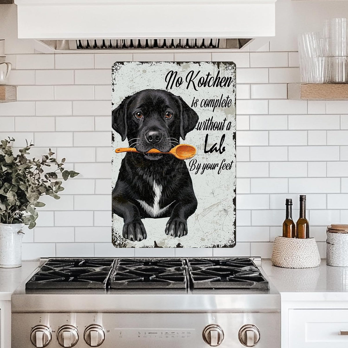 No Kitchen Is Complete Without a Lab