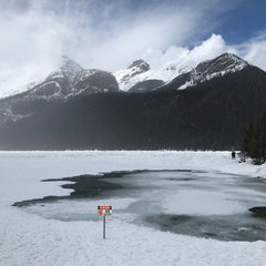 Danger "ICE" Not Safe Classic Industrial Warning Style